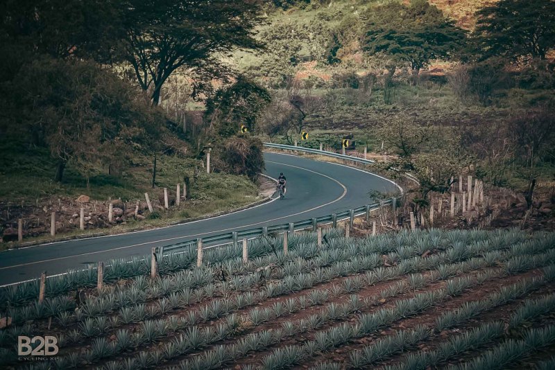 Reserva de los Encinos